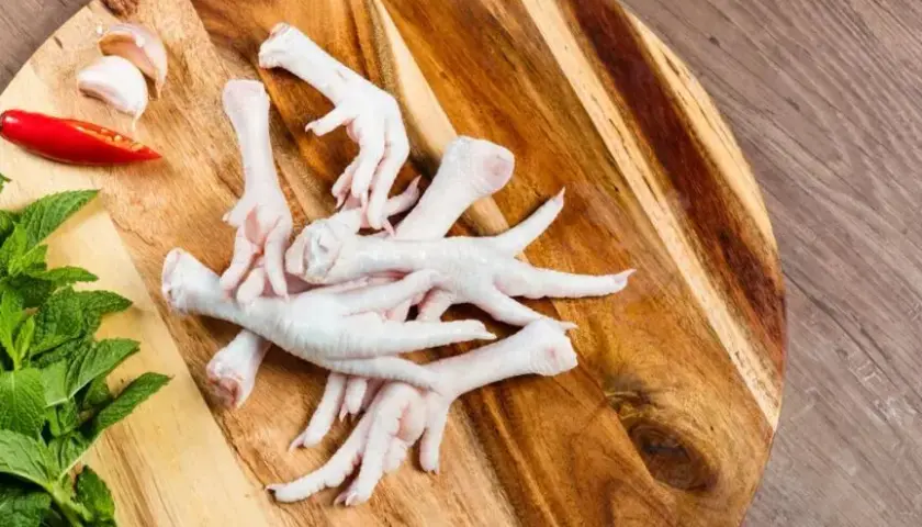 Jak gotować kurze łapki dla psa? Bezpieczny przewodnik