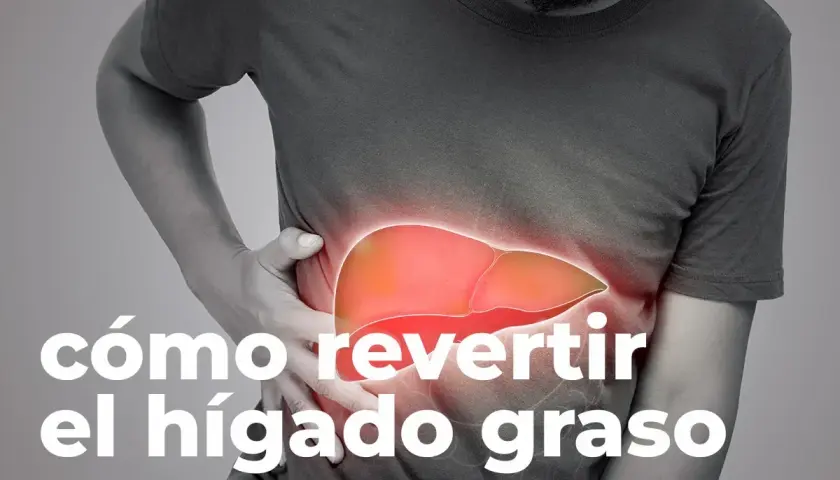 Medicamentos para el hígado graso: opciones y tratamientos efectivos