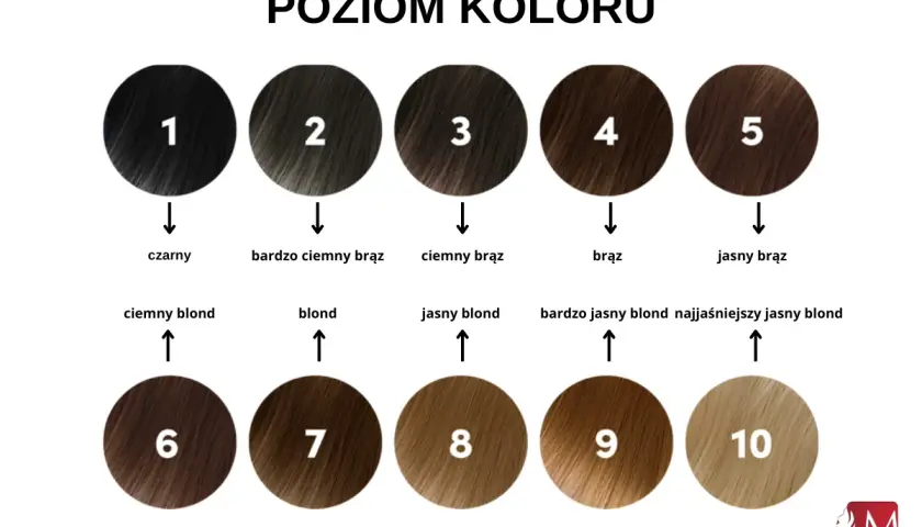 Paleta poziomów koloru włosów: od czarnego (1) przez różne odcienie brązu (2-5) do jasnych blondów (6-10).