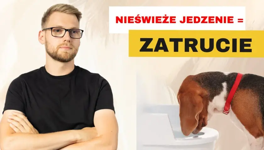 Co podać psu na zatrucie? Pierwsza pomoc i ostrzeżenia