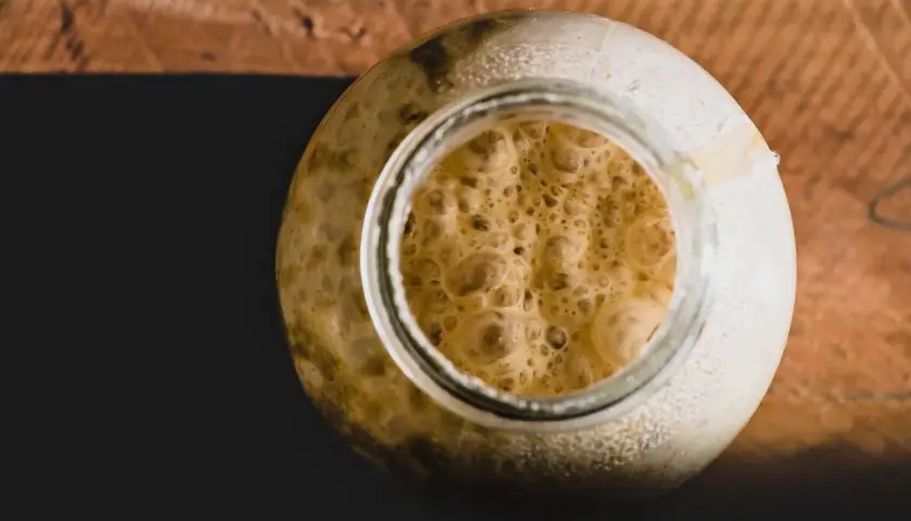 Blubbernder Sauerteig im Glas, voller aktiver Hefe und Bakterien, bereit zum Backen.