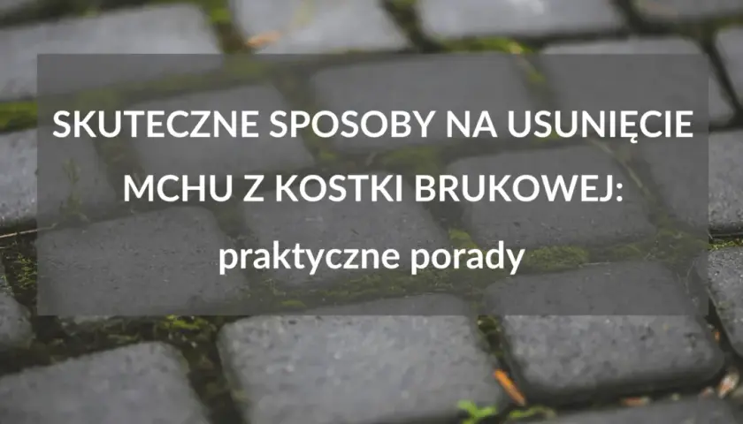 Skuteczne metody czyszczenia kostki brukowej z mchu, które działają