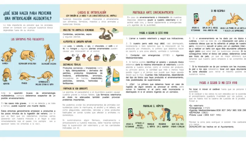 Ilustración sobre qué hacer ante una intoxicación accidental de perros, incluyendo síntomas, causas y protocolos de actuación. Menciona el veneno para perros.