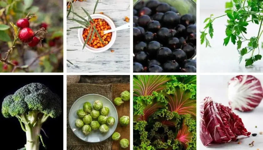 Hagebutten, Sanddorn, schwarze Johannisbeeren, Brokkoli, Rosenkohl, Grünkohl und Radicchio – vielfältige vitamin c lebensmittel für eine gesunde Ernährung.
