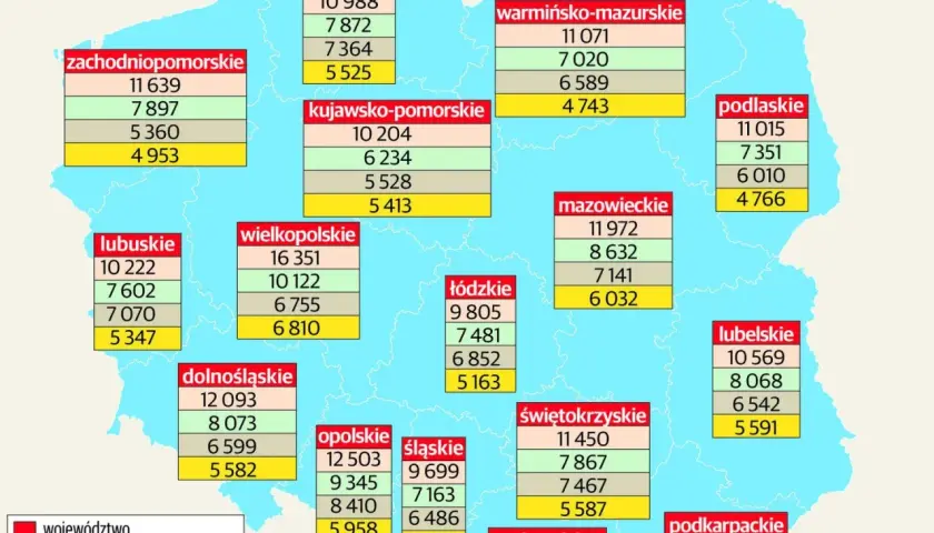 Ile zarabia neurolog? Zaskakujące różnice w wynagrodzeniach w Polsce