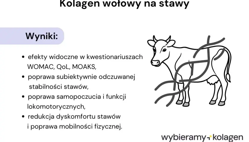 Wyniki badań nad kolagenem wołowym: poprawa stabilności stawów, samopoczucia i mobilności. Pomocne w walce z dyskomfortem, jak przy rdzeniowym zaniku mięśni.