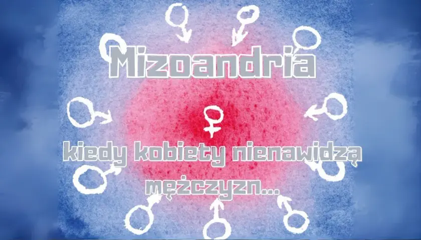 Mizoandria: kiedy kobiety nienawidzą mężczyzn... Symbol kobiecy w centrum, otoczony symbolami męskimi.