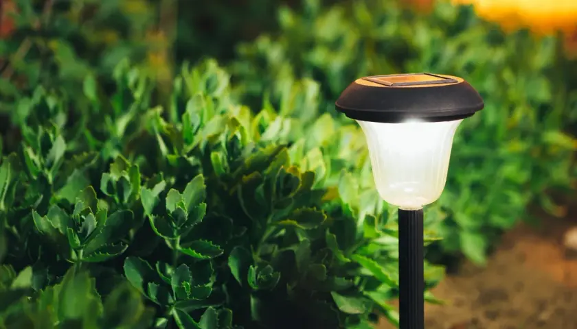 Solarna lampka ogrodowa świeci na tle zielonych roślin.