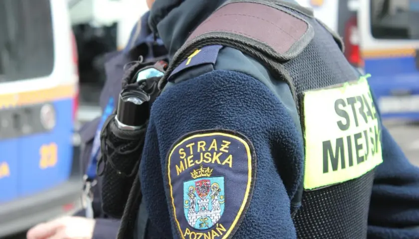 Straż miejska na osiedlu? Kiedy mandat za parkowanie jest legalny?