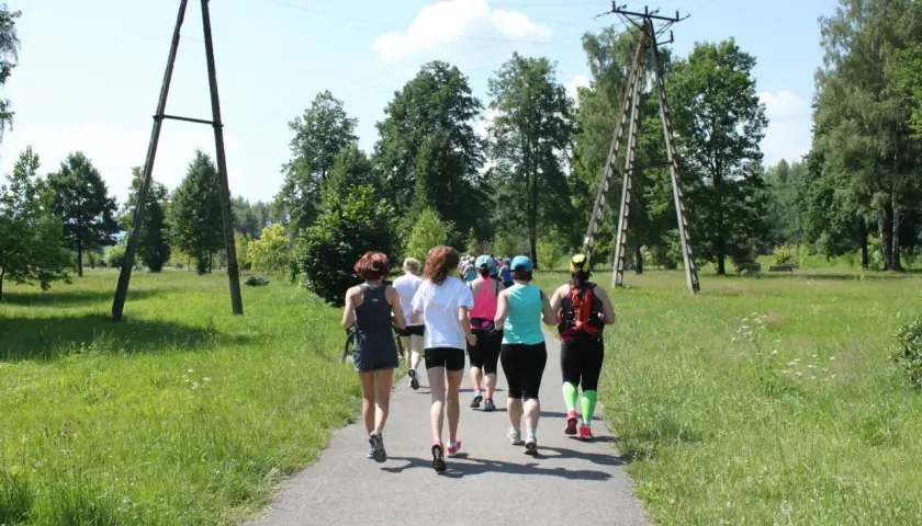 Grupa kobiet biegnie ścieżką w parku, uczestnicząc w obozach bieganie.