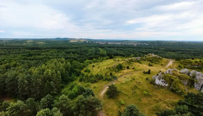 Krajobraz Jury Krakowsko-Częstochowskiej z wapiennymi ostańcami, zielonymi lasami i widoczną w oddali miejscowością.