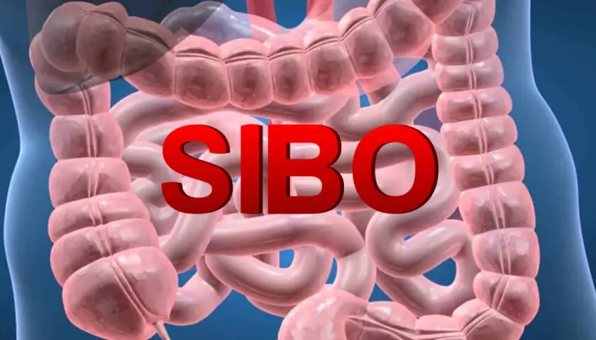 SIBO: przerost flory bakteryjnej i jego skutki dla zdrowia.