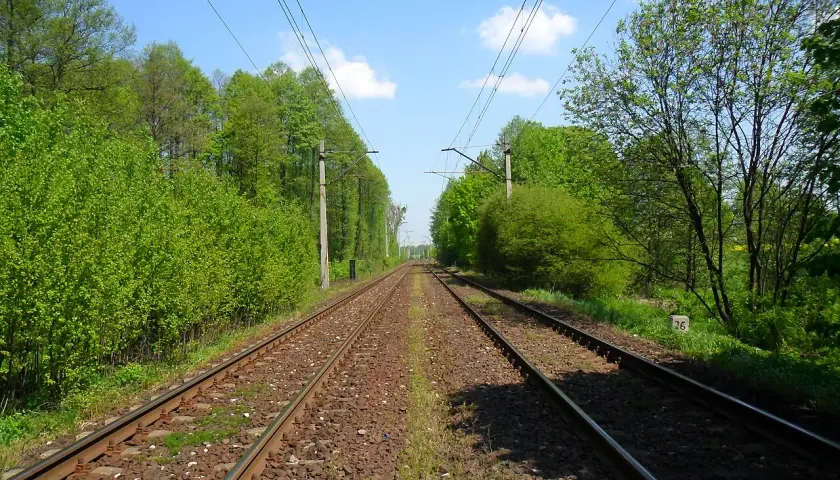 Dwa tory kolejowe biegną w dal, otoczone bujną zielenią drzew i krzewów. Nad nimi widać sieć trakcyjną i błękitne niebo z chmurami.