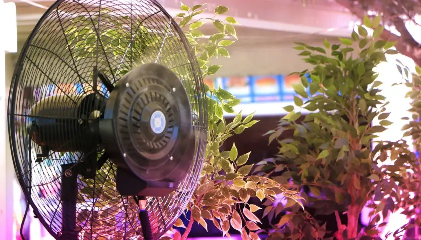 Ventilatore nero tra piante verdi. Un aspiratore muove l'aria, un estrattore la rimuove.