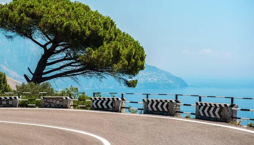Scenic road on the bus route from Naples to Amalfi, with a pine tree and the blue sea.
