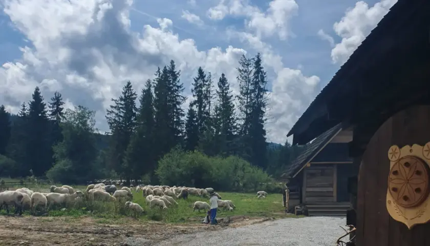 Bacówka Witów: Odkryj tradycję góralską i wyjątkowe smaki