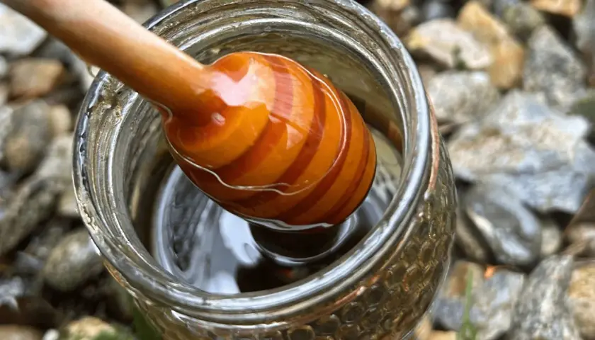 Un agitador de miel de madera con rayas naranjas se sumerge en un frasco de miel dorada, listo para comenzar la ruta de la miel.