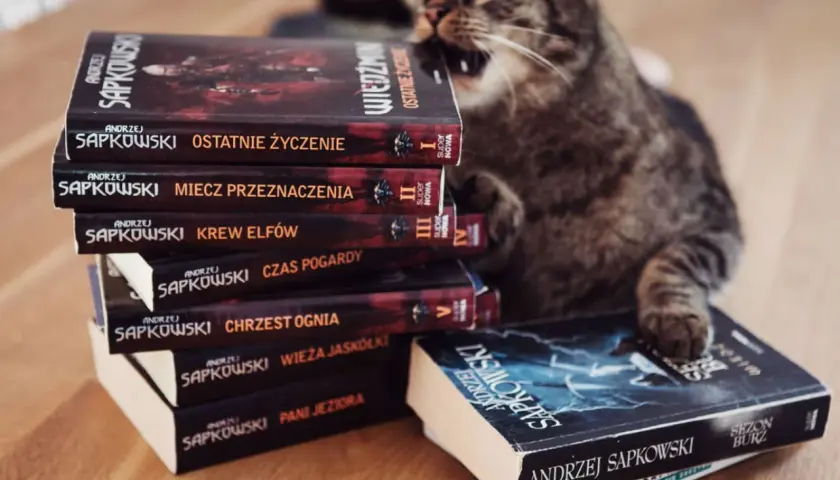 Kot na stosie książek Andrzeja Sapkowskiego, idealna **wiedźmin chronologia** do czytania.