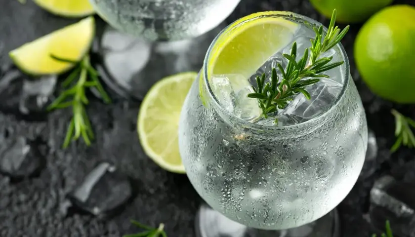 Najlepsze drinki z ginem, które musisz spróbować na każdą okazję