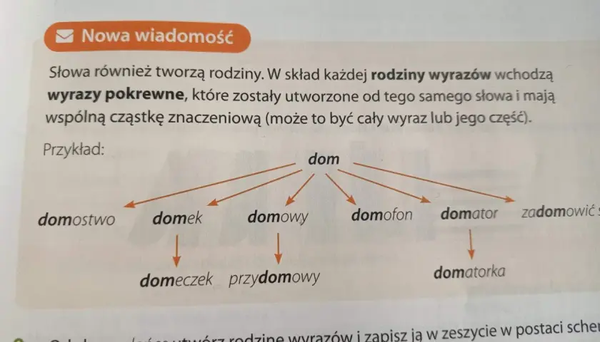 Diagram przedstawia rodzinę wyrazów z rdzeniem "dom": domostwo, domek, domowy, domeczek, przydomowy, domofon, domator, domatorka, zadomowić się.