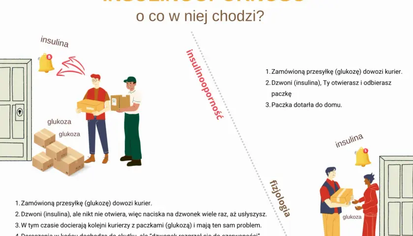 Ilustracja wyjaśnia, czy insulina to hormon, porównując jej działanie do kuriera dostarczającego glukozę.