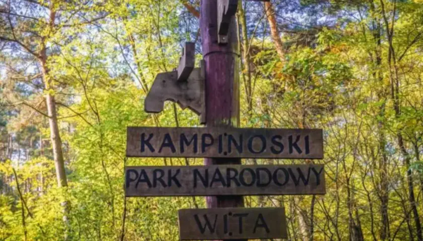 Drewniany drogowskaz wita w Kampinoskim Parku Narodowym. Ciekawe miejsca czekają!