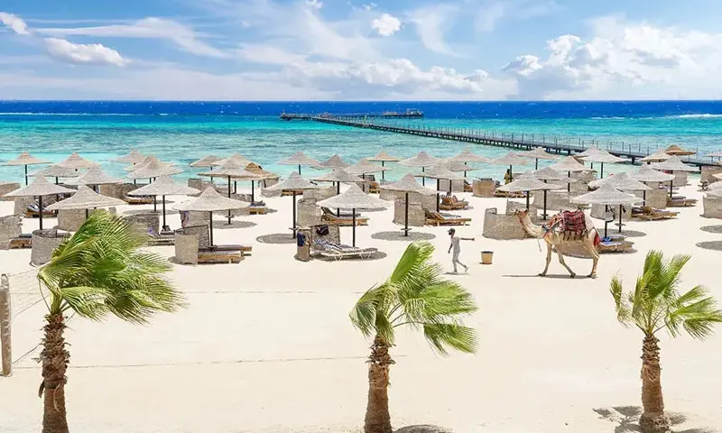 Najlepsze atrakcje w Marsa Alam, które musisz zobaczyć na wakacjach