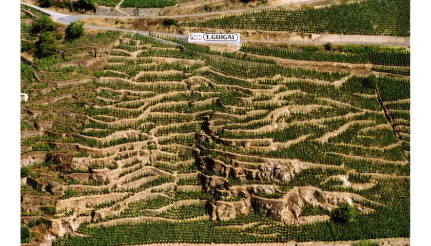 Vignoble en terrasses de Côte Rôtie, un millésime E. Guigal prometteur.