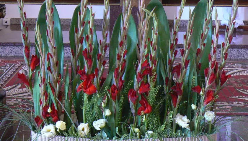 Jakie kwiaty na ołtarz? Najlepsze wybory na wyjątkowe ceremonie