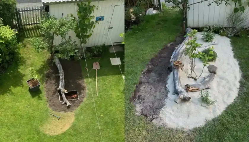 Ein Garten wird umgestaltet. Links: Rasen, Baum, Schaufel. Rechts: Sandbeet mit Treibholz und Pflanzen, ein tierfreundlicher Garten entsteht.