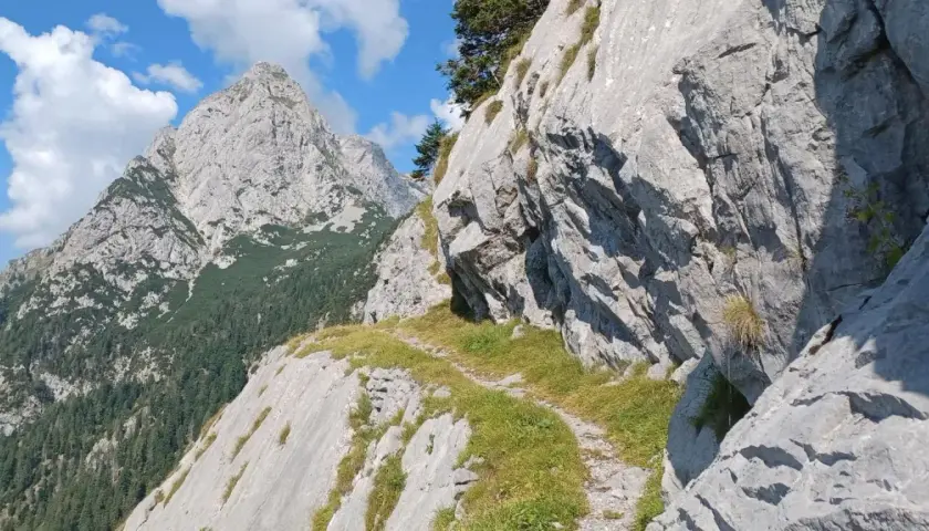 Ein schmaler Pfad schlängelt sich durch die felsige Landschaft der Karnischen Alpen. Im Hintergrund ragen schroffe Gipfel in den blauen Himmel.