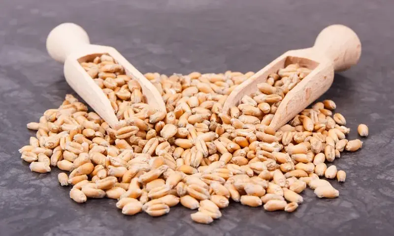 Czy makaron ma gluten? Rozwiewamy wątpliwości i wskazujemy alternatywy