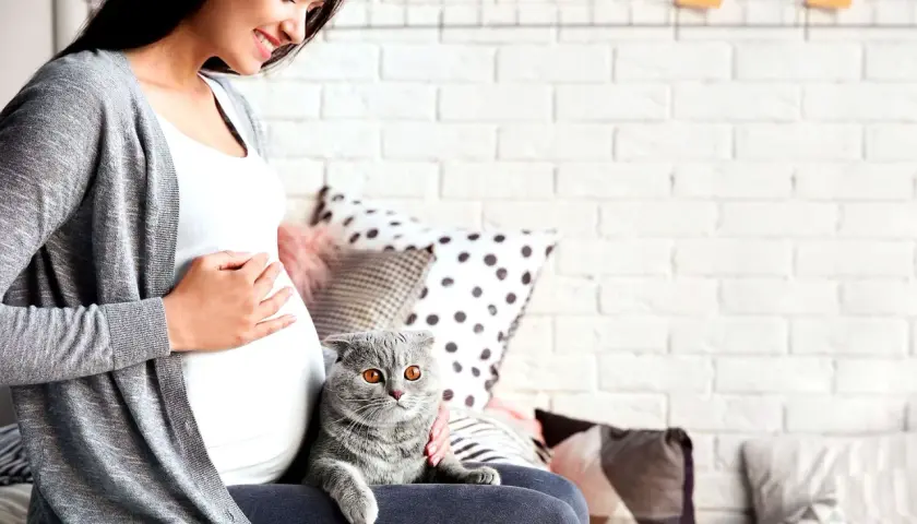 Donna incinta sorride accarezzando il gatto. Un pensiero al toxo test per la sua serenità.