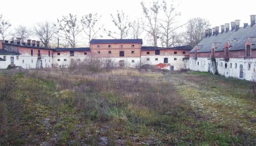 Mniszki skansen: Odkryj znikające rzemiosła i regionalną historię