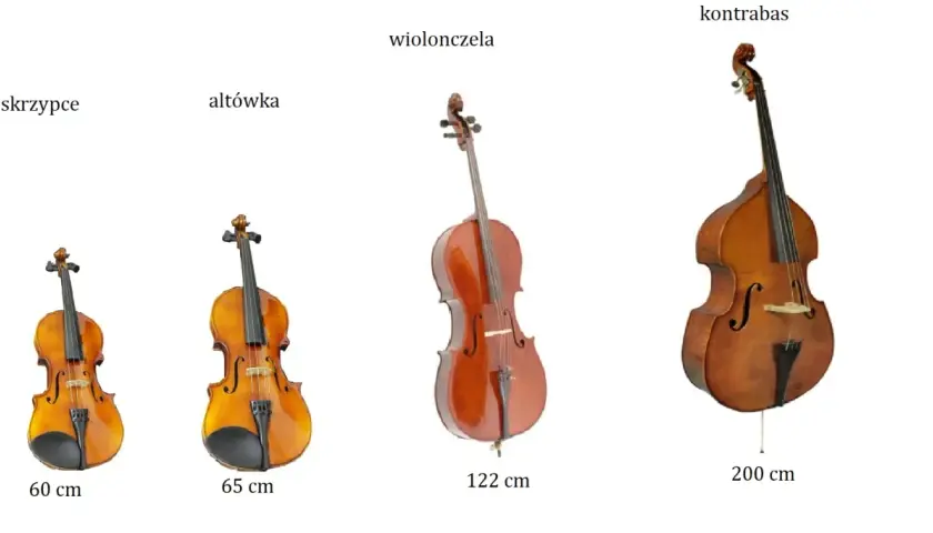 Skrzypce, altówka, wiolonczela i kontrabas – oto jakie są instrumenty strunowe, prezentowane w kolejności od najmniejszego do największego.
