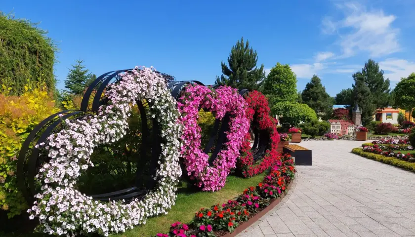Trzy serca z kwiatów: białe, różowe i czerwone, ozdabiają park podczas festiwalu kwiatów.