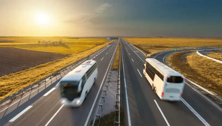Dwa białe autobusy jadące po autostradzie w słoneczny dzień, otoczone polami.