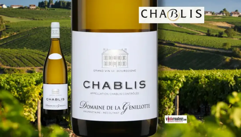 Bouteille de chablis vin blanc sec ou moelleux, devant un vignoble verdoyant.
