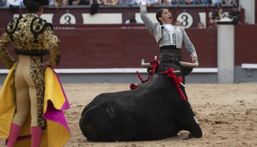 Una torera, entre los **recortadores de toros**, se enfrenta a un toro negro en la arena.