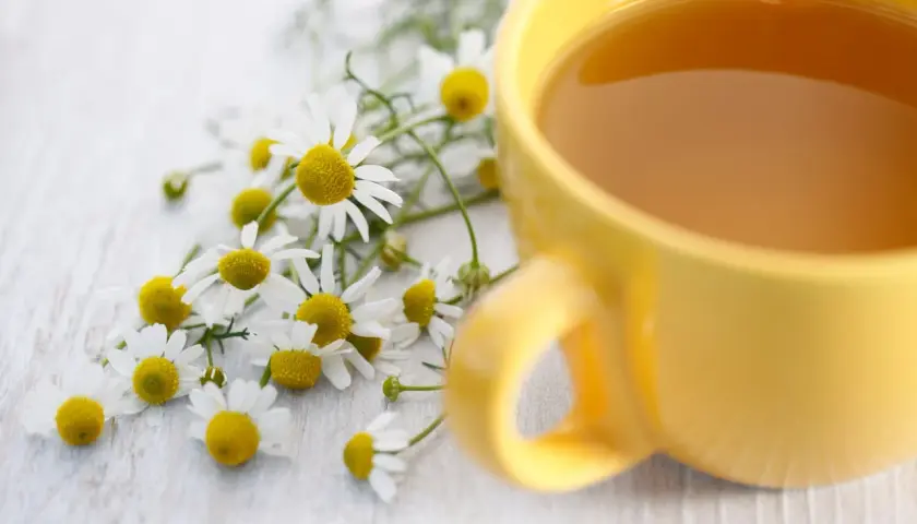 Camomilla e una tazza di tè giallo, rimedi veloci per il mal di stomaco.