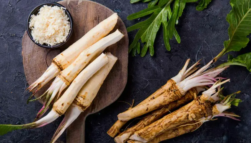 Färska pepparrot och riven pepparrot. Pepparrot nyttigt för kroppen, full av vitaminer och mineraler.