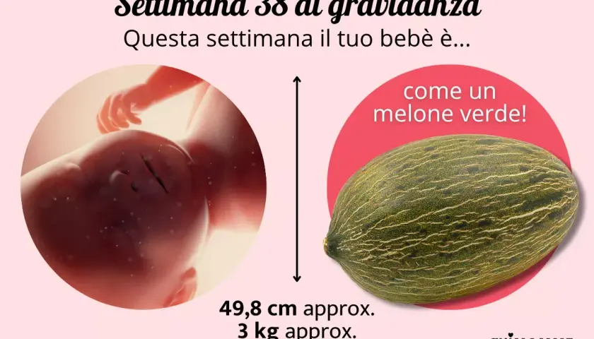 A 38 settimane di gravidanza, il tuo bebè è grande come un melone verde, circa 49,8 cm e 3 kg.