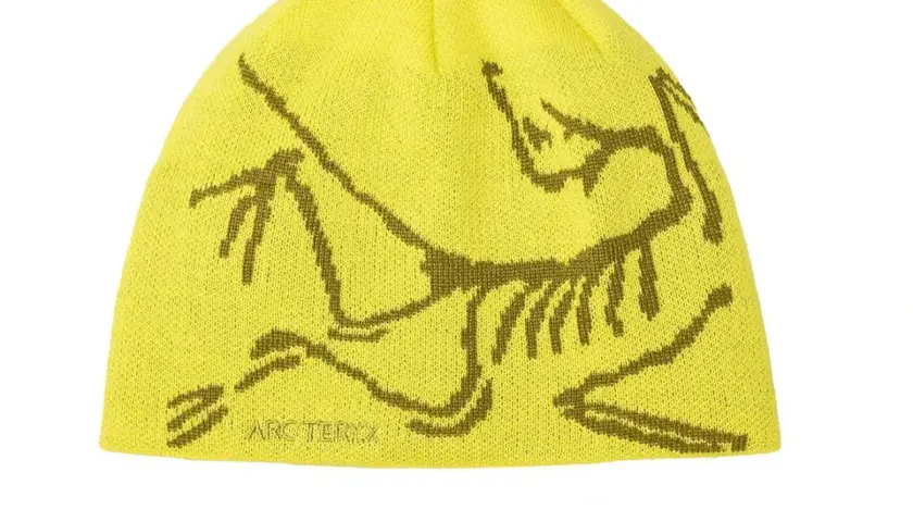 Arc'teryx Bird Head Mütze: Kult-Beanie im Test Lohnt sich der Hype?