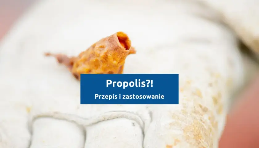 Jak zrobić kit pszczeli? Na białej rękawicy pszczelarskiej leży grudka propolisu. Obok tekst: "Propolis?! Przepis i zastosowanie".