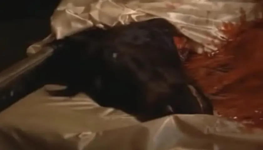Una testa di cavallo scura giace su un letto di seta, con macchie rosse che suggeriscono un evento inquietante.