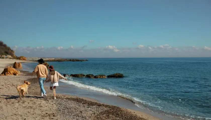 Para z psem spaceruje po plaży w Mielnie. To świetne mielno atrakcje poza sezonem, gdy jest spokojniej i można cieszyć się naturą.