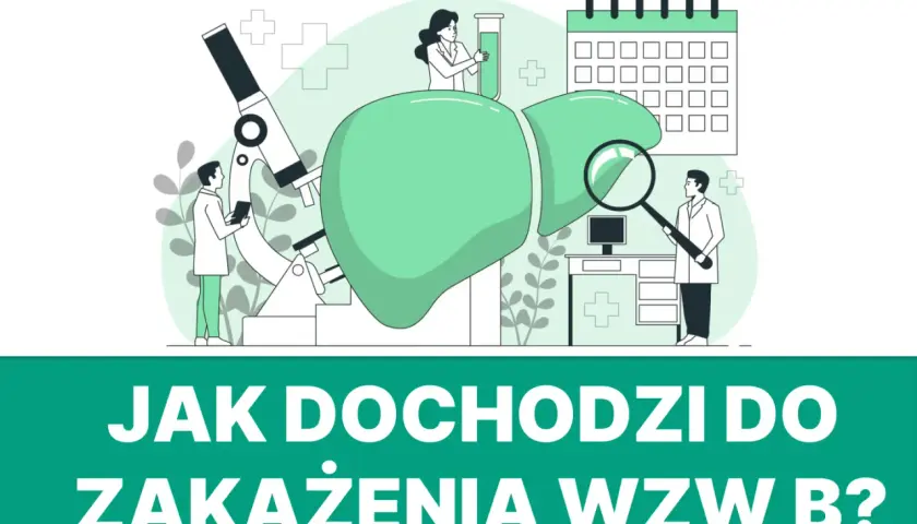 Naukowcy badają wątrobę i objawy wzw B. Mikroskop, probówki i kalendarz wskazują na analizę i planowanie leczenia.