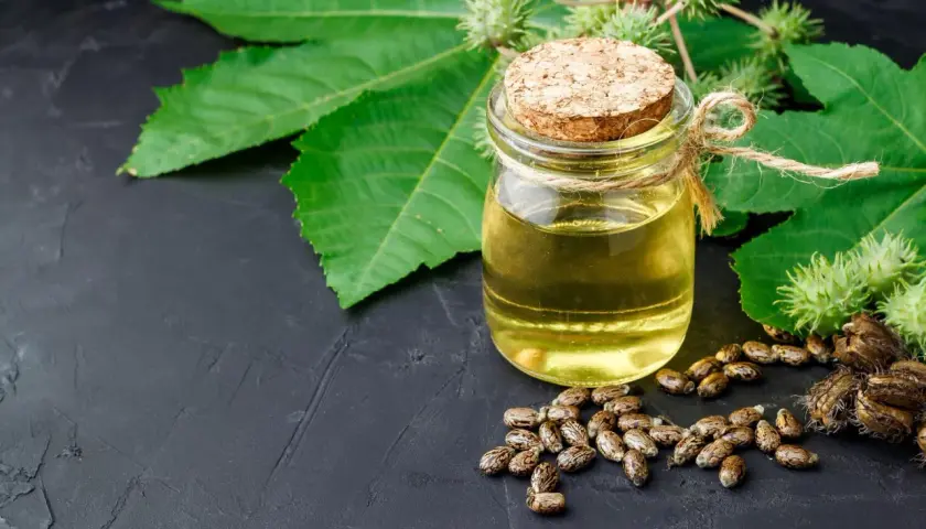 Aceite de ricino para el pelo en un frasco, rodeado de semillas y hojas de ricino.