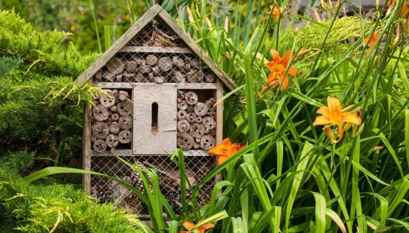 Ett insektshotell i trä, fyllt med träbitar och kvistar, står i en lummig trädgård bland gröna blad och orange liljor. Perfekt insektshotell placering för att locka pollinerare.