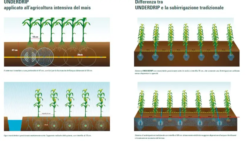 Confronto tra sistemi di irrigazione: UNDERDRIP e tradizionale. Illustra diversi tipi di terreno e la distribuzione di acqua e fertilizzanti.